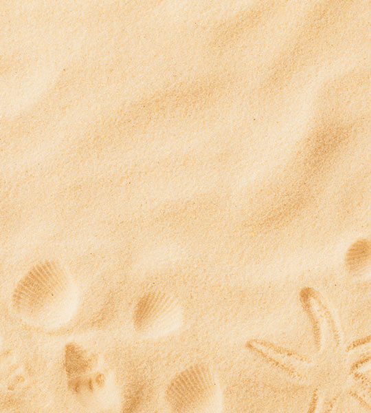 Beige sand textured background with seashells impressions